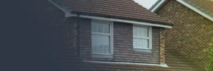 Domestic Success Stories